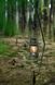 Лампа гасова Naturehike Outdoor Lamp NH22ZM003 dark green 6927595709542 фото 4